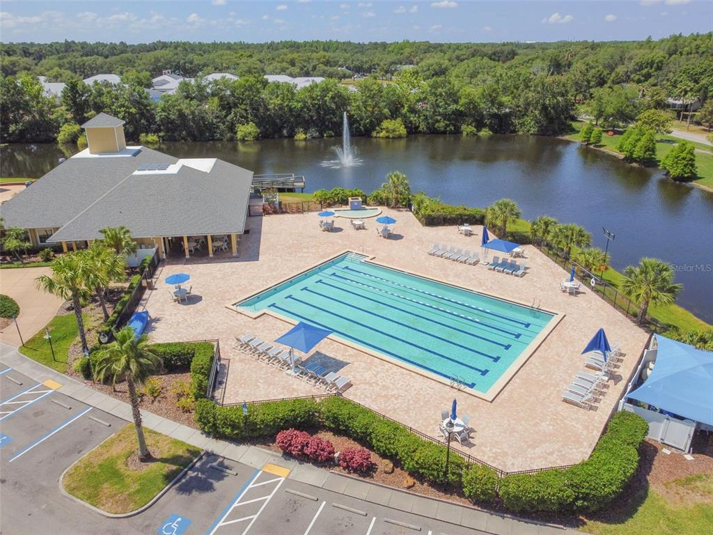 7206 Ridgeport Drive Tampa, FL 33647 - Photo 75 of 78