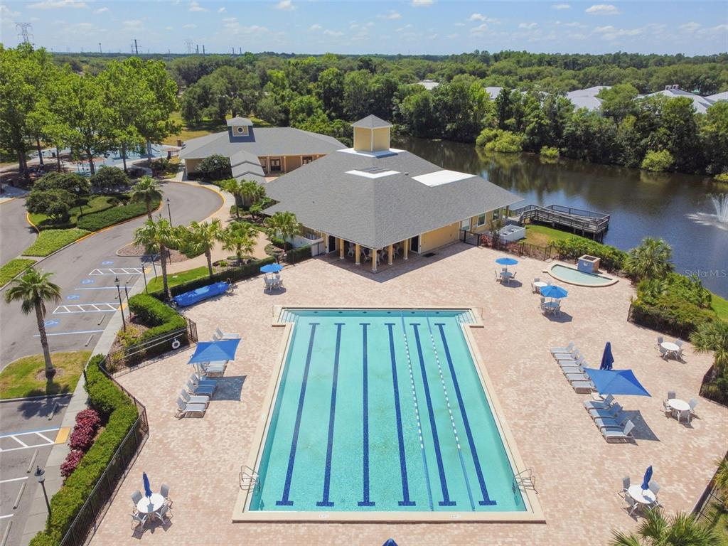 7206 Ridgeport Drive Tampa, FL 33647 - Photo 76 of 78 an aerial view of a house with swimming pool and lake view