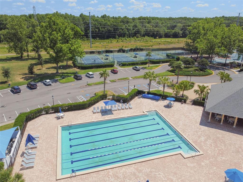 7206 Ridgeport Drive Tampa, FL 33647 - Photo 77 of 78