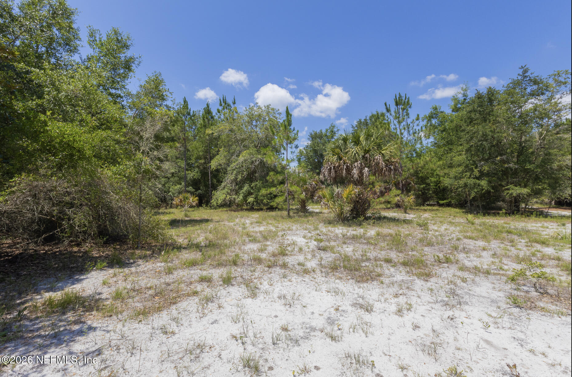 133 Landvale Street Georgetown, FL 32139 - Photo 3 of 8 Landvale #3