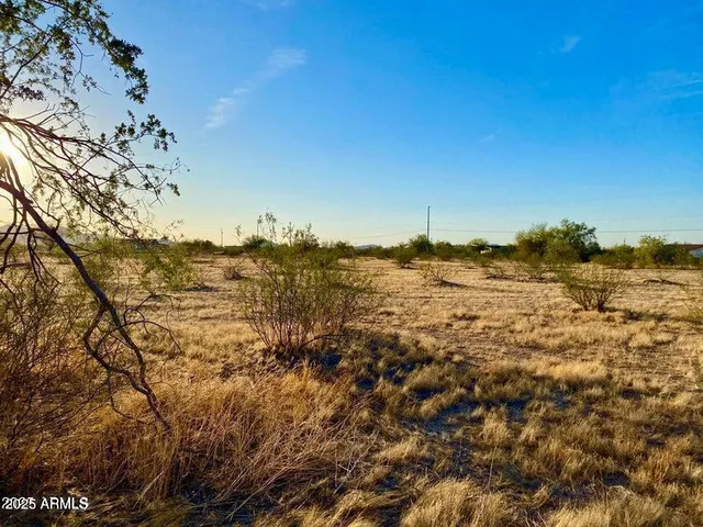 a view of a large tree in front of a yard