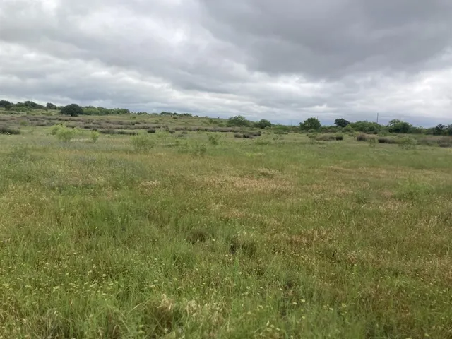 a view of a field with an ocean and trees