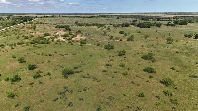 a view of a bunch of trees and houses