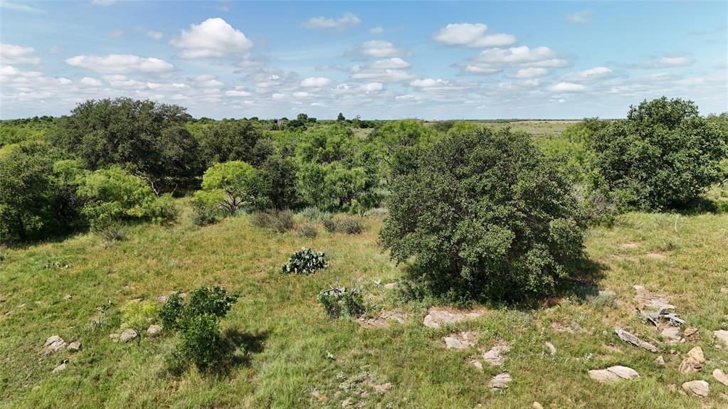 0 Ward Road Olney, TX 76374 - Photo 20 of 29