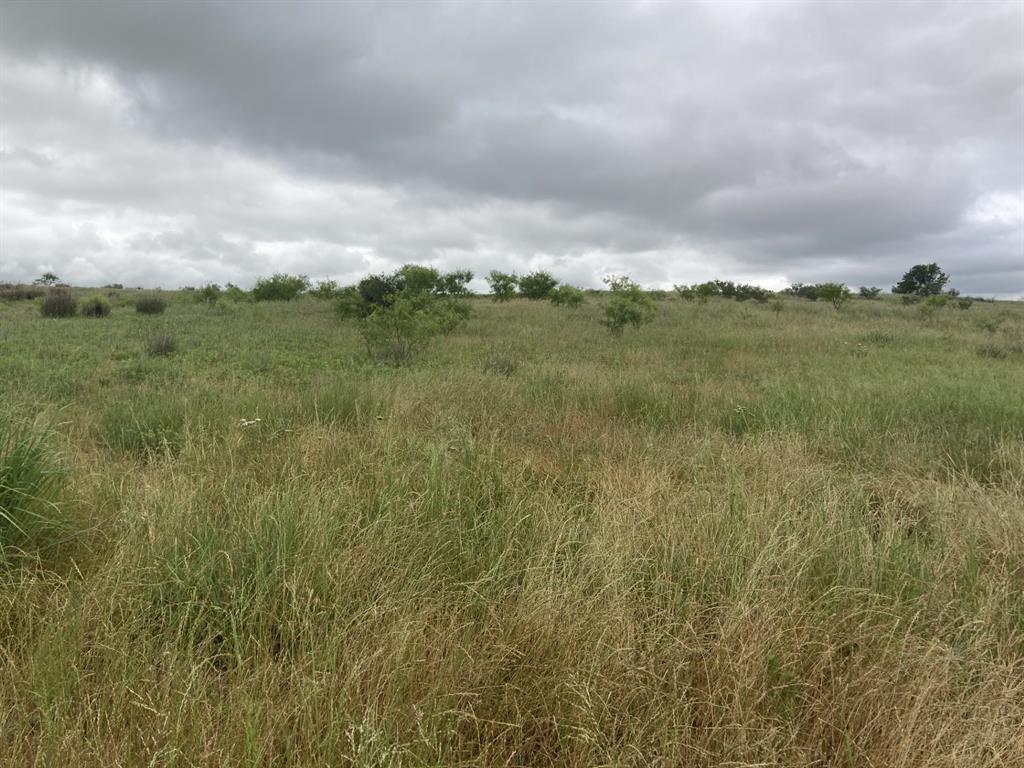 0 Ward Road Olney, TX 76374 - Photo 2 of 29 a view of a green field