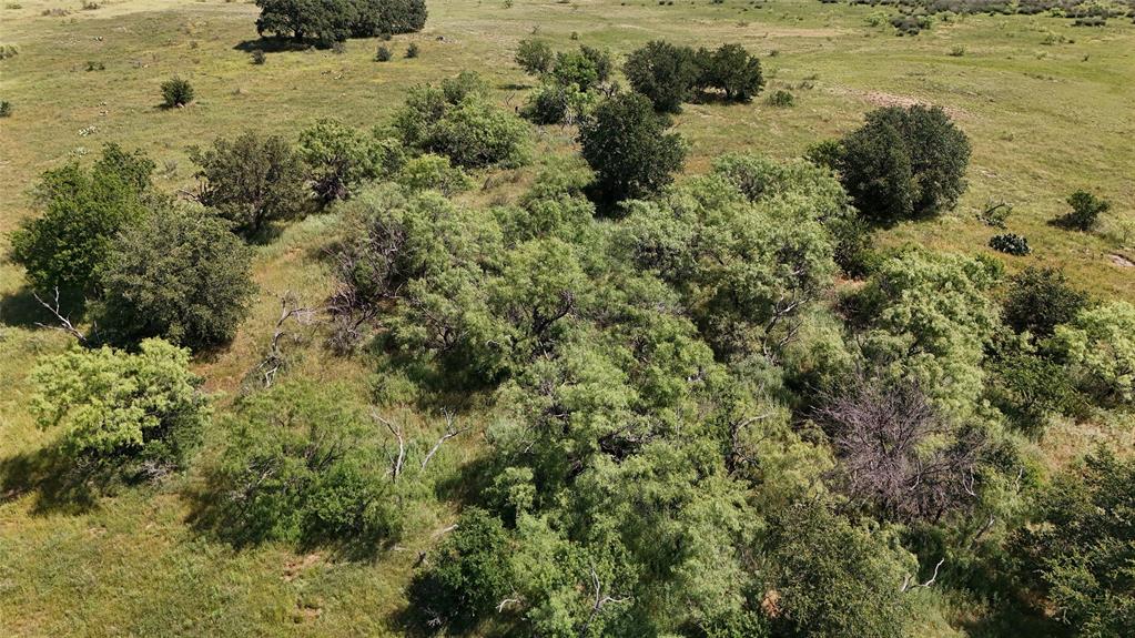 0 Ward Road Olney, TX 76374 - Photo 29 of 29 a view of a yard