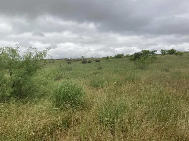 a view of a green field