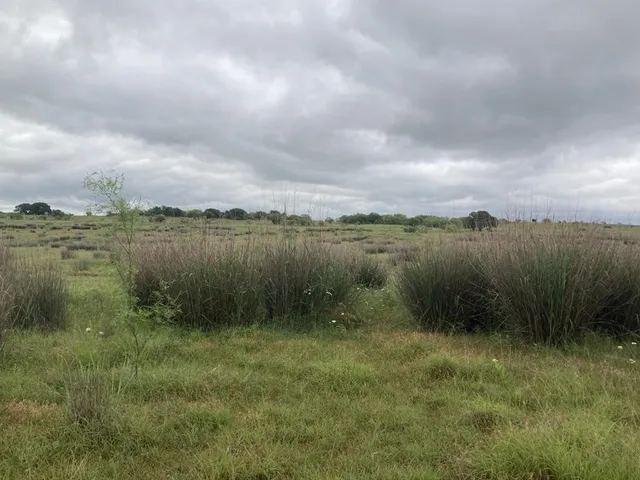 a view of a lake from a yard