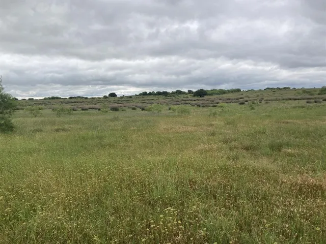 a view of a lake with a city
