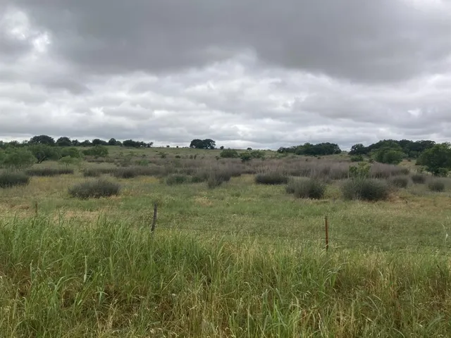 a view of a field of grass and trees