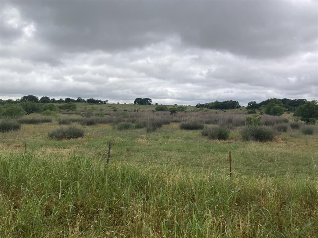 0 Ward Road Olney, TX 76374 - Photo 10 of 29 a view of a field of grass and trees