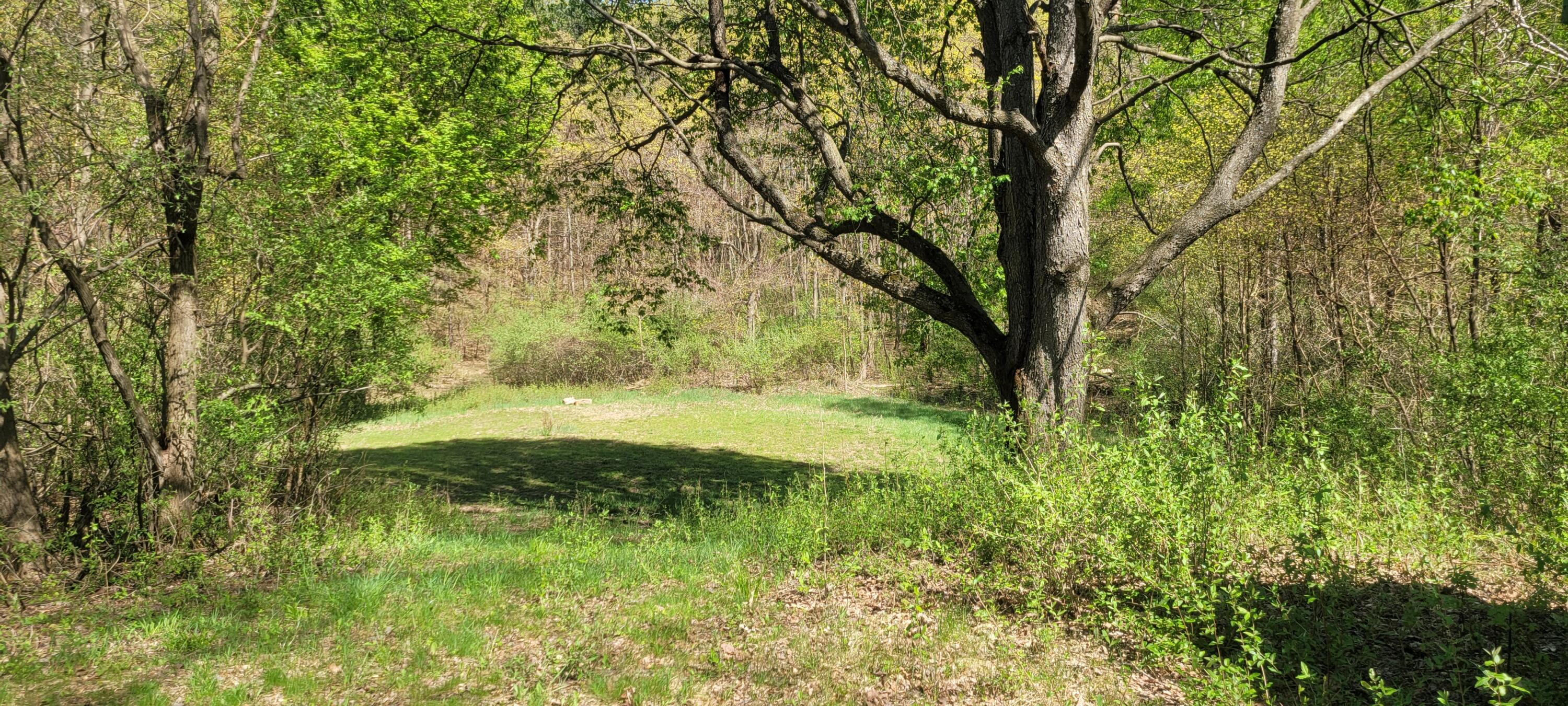 2521 Wolf Road Hart, MI 49420 - Photo 34 of 42 20230511_154336