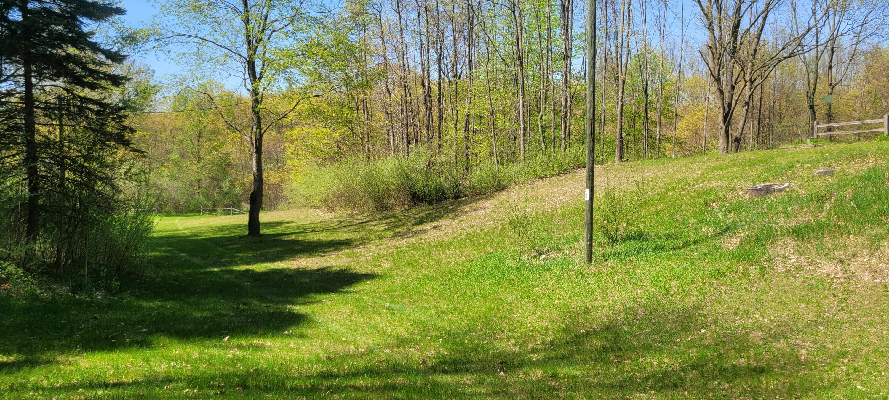 2521 Wolf Road Hart, MI 49420 - Photo 41 of 42 20230511_152452