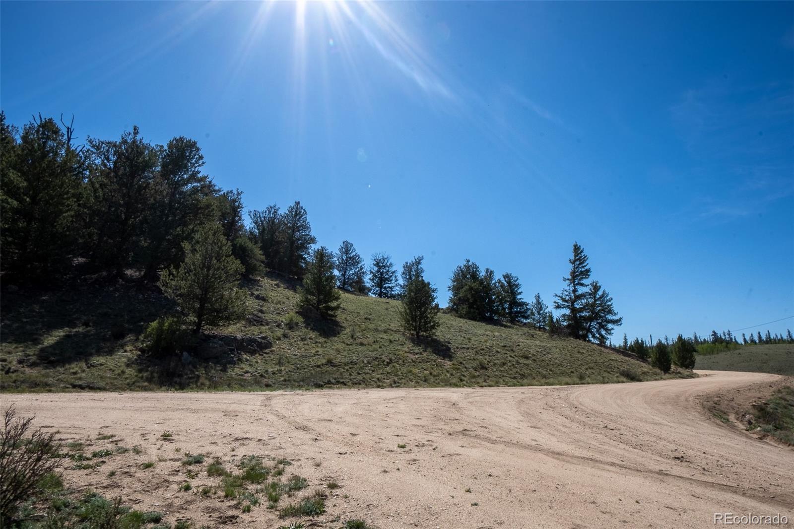 4484 Remington Road Jefferson, CO 80456 - Photo 2 of 12
