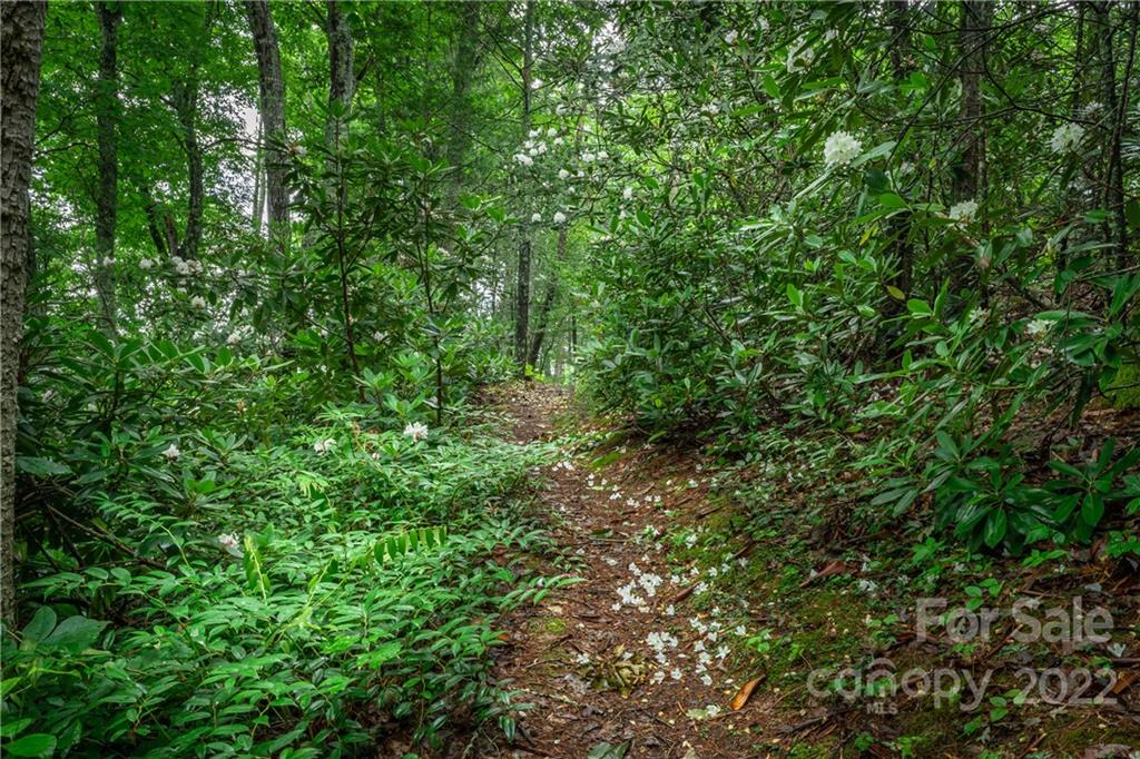 87 Ivy Bluffs Road Marshall, NC 28753 - Photo 44 of 48 Gallery Image 44