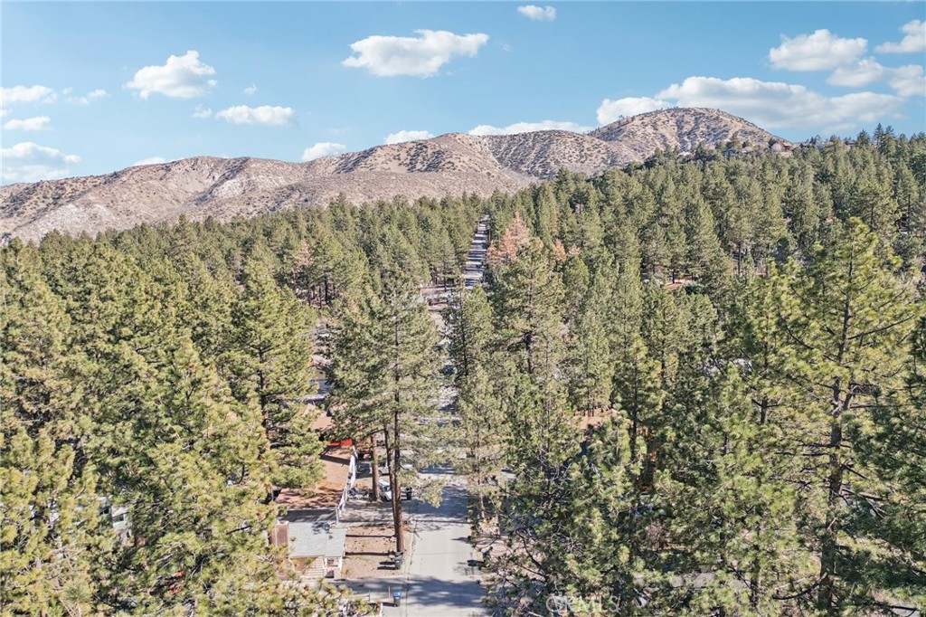 1847 Thrush Road Wrightwood, CA 92397 - Photo 27 of 33 a view of a city with a mountain