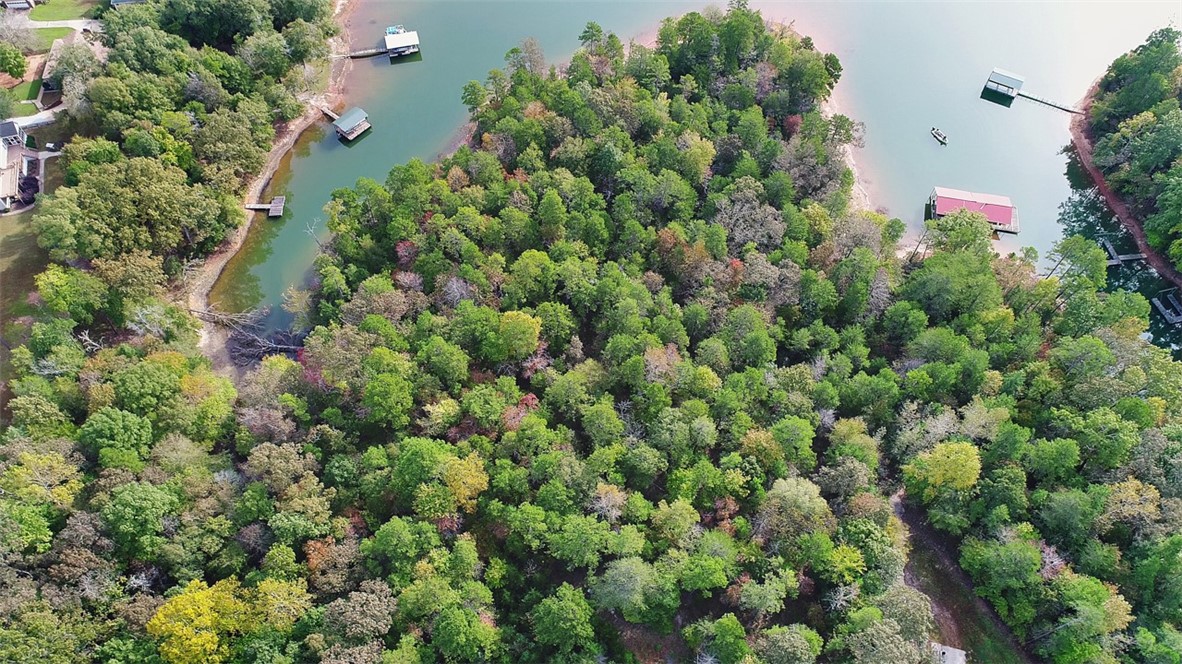 0 Seraph Point Road Lavonia, GA 30553 - Photo 2 of 9