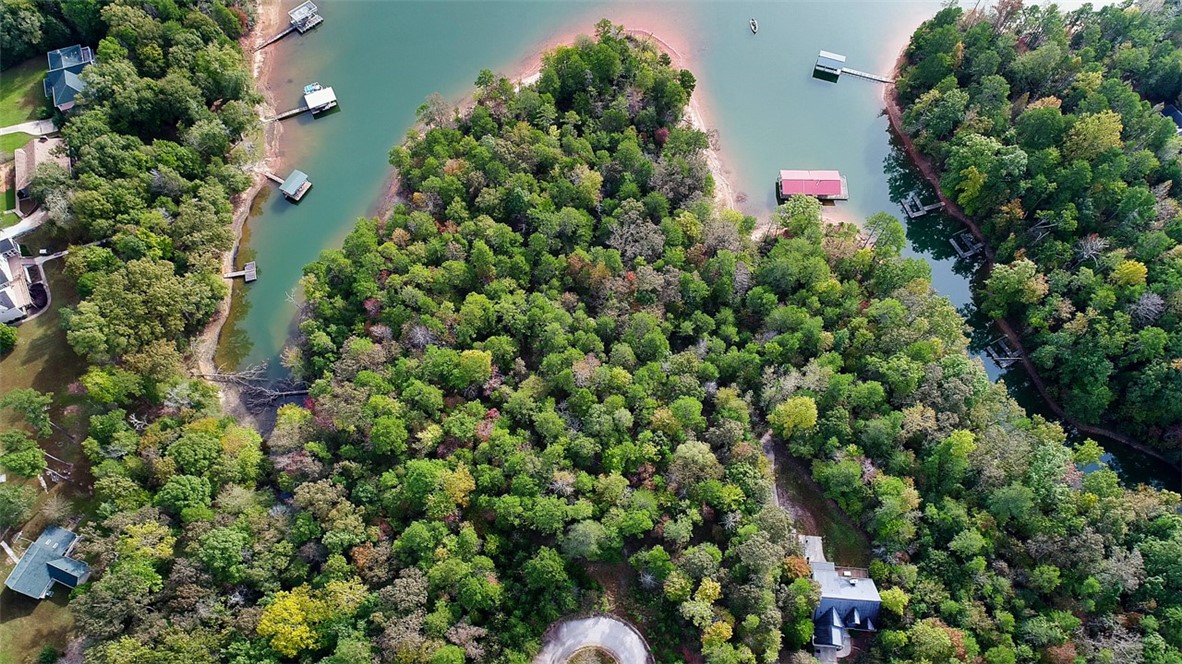 0 Seraph Point Road Lavonia, GA 30553 - Photo 6 of 9