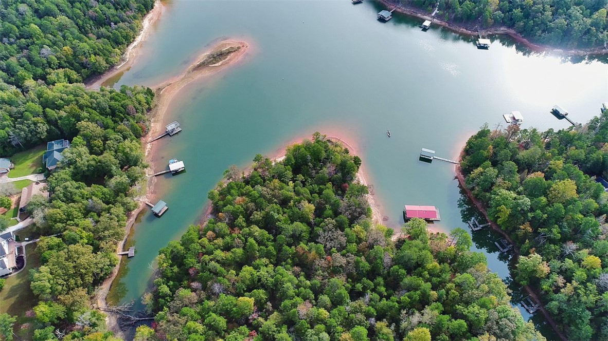 0 Seraph Point Road Lavonia, GA 30553 - Photo 7 of 9