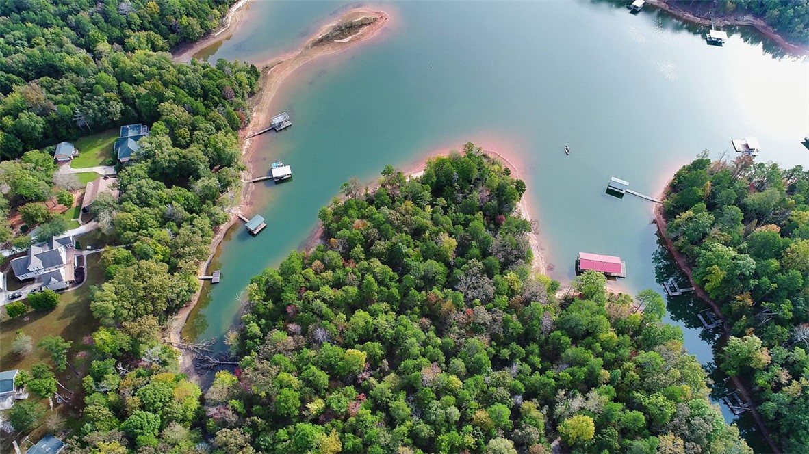 0 Seraph Point Road Lavonia, GA 30553 - Photo 8 of 9