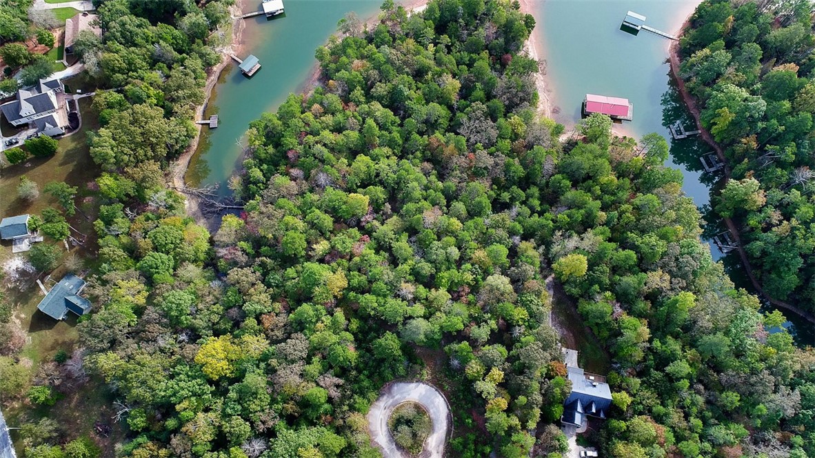 0 Seraph Point Road Lavonia, GA 30553 - Photo 9 of 9