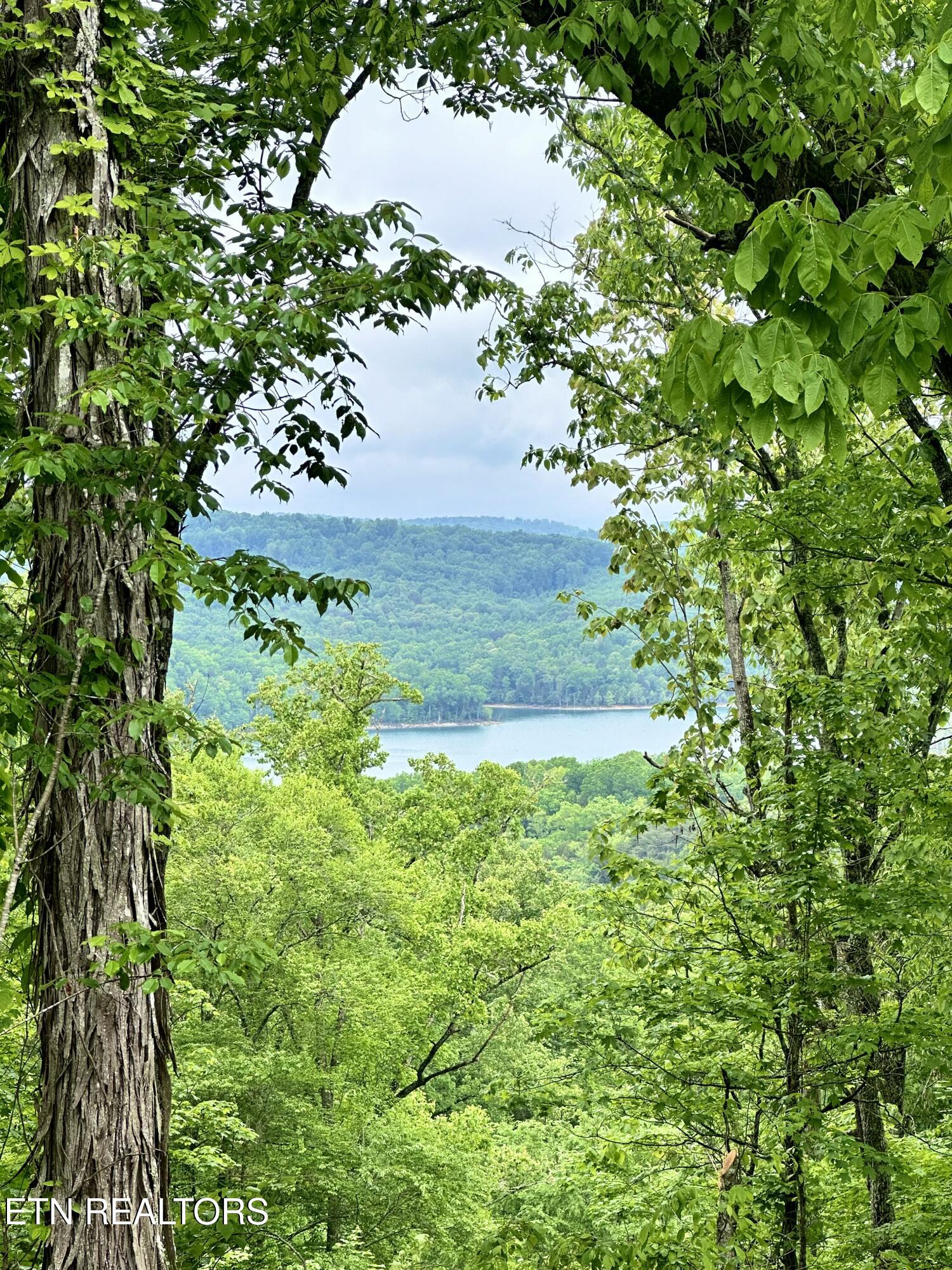 Lot 731 Russell Brothers Road Sharps Chapel, TN 37866 - Photo 2 of 18 Lot 731