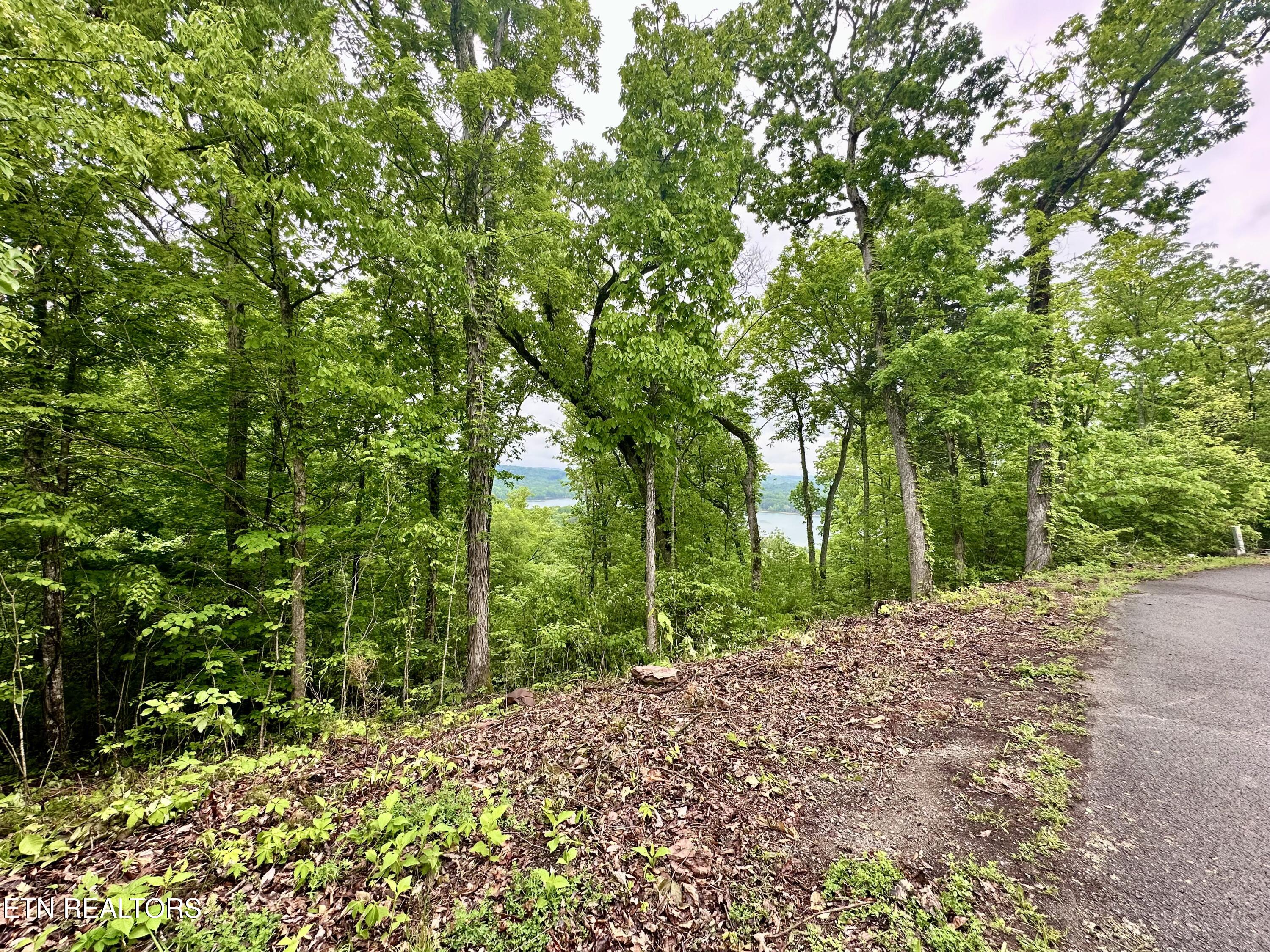 Lot 731 Russell Brothers Road Sharps Chapel, TN 37866 - Photo 4 of 18 Lot 731