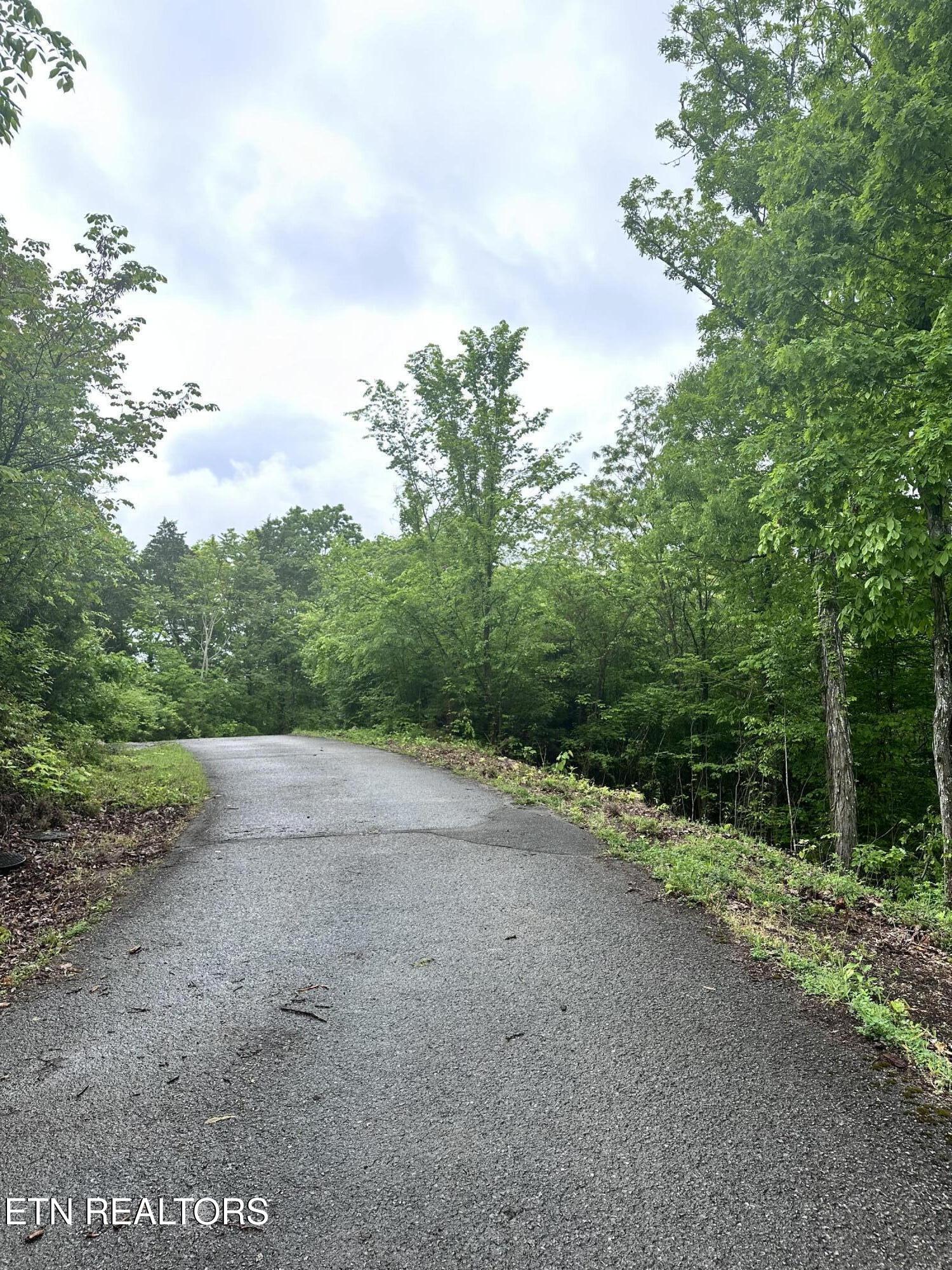 Lot 731 Russell Brothers Road Sharps Chapel, TN 37866 - Photo 5 of 18 Lot 731