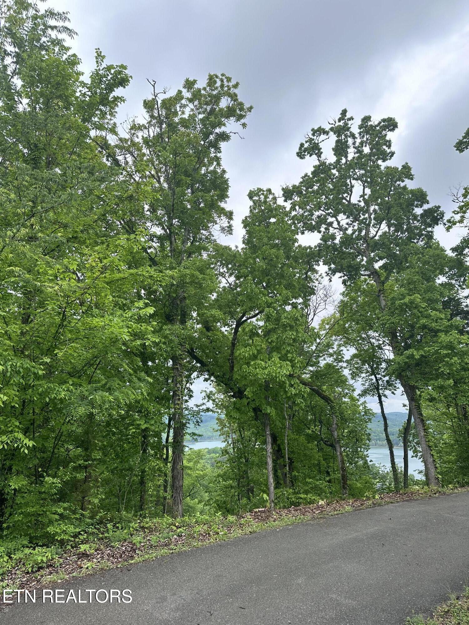 Lot 731 Russell Brothers Road Sharps Chapel, TN 37866 - Photo 6 of 18 Lot 731