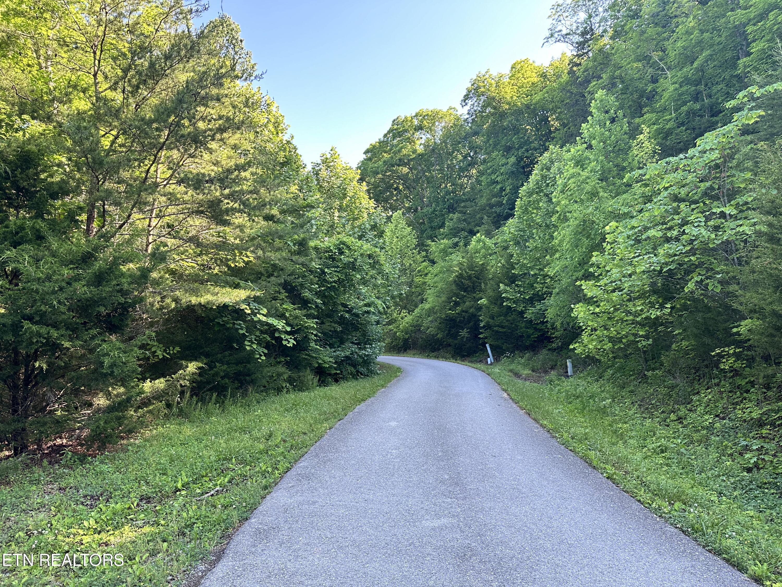 Lot 731 Russell Brothers Road Sharps Chapel, TN 37866 - Photo 7 of 18 Lot 731