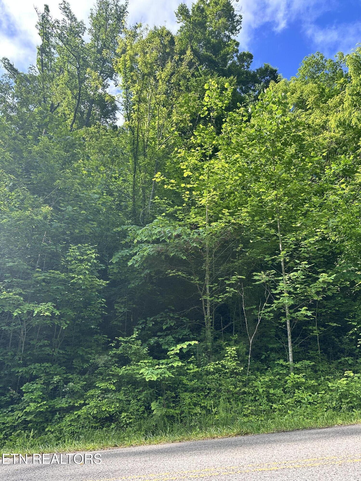 Lot 731 Russell Brothers Road Sharps Chapel, TN 37866 - Photo 9 of 18 Lot 731