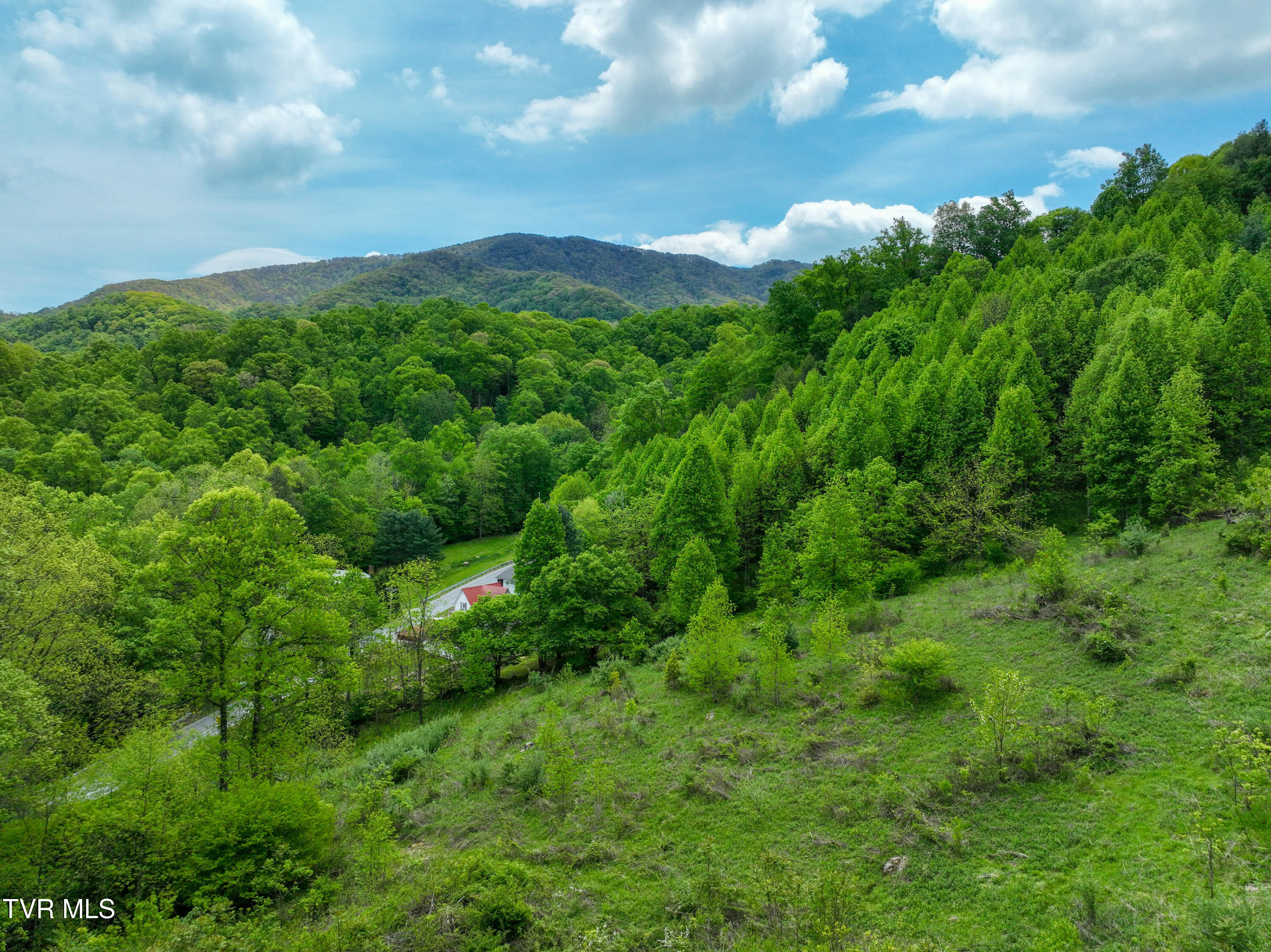 275 Tiger Creek Road Roan Mountain, TN 37687 - Photo 99 of 104 275 Tiger Creek Rd Drone WALLACE-46