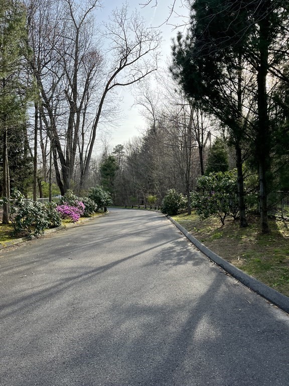 60 Corcoran Boulevard Springfield, MA 01118 - Photo 30 of 30 a view of path along with trees