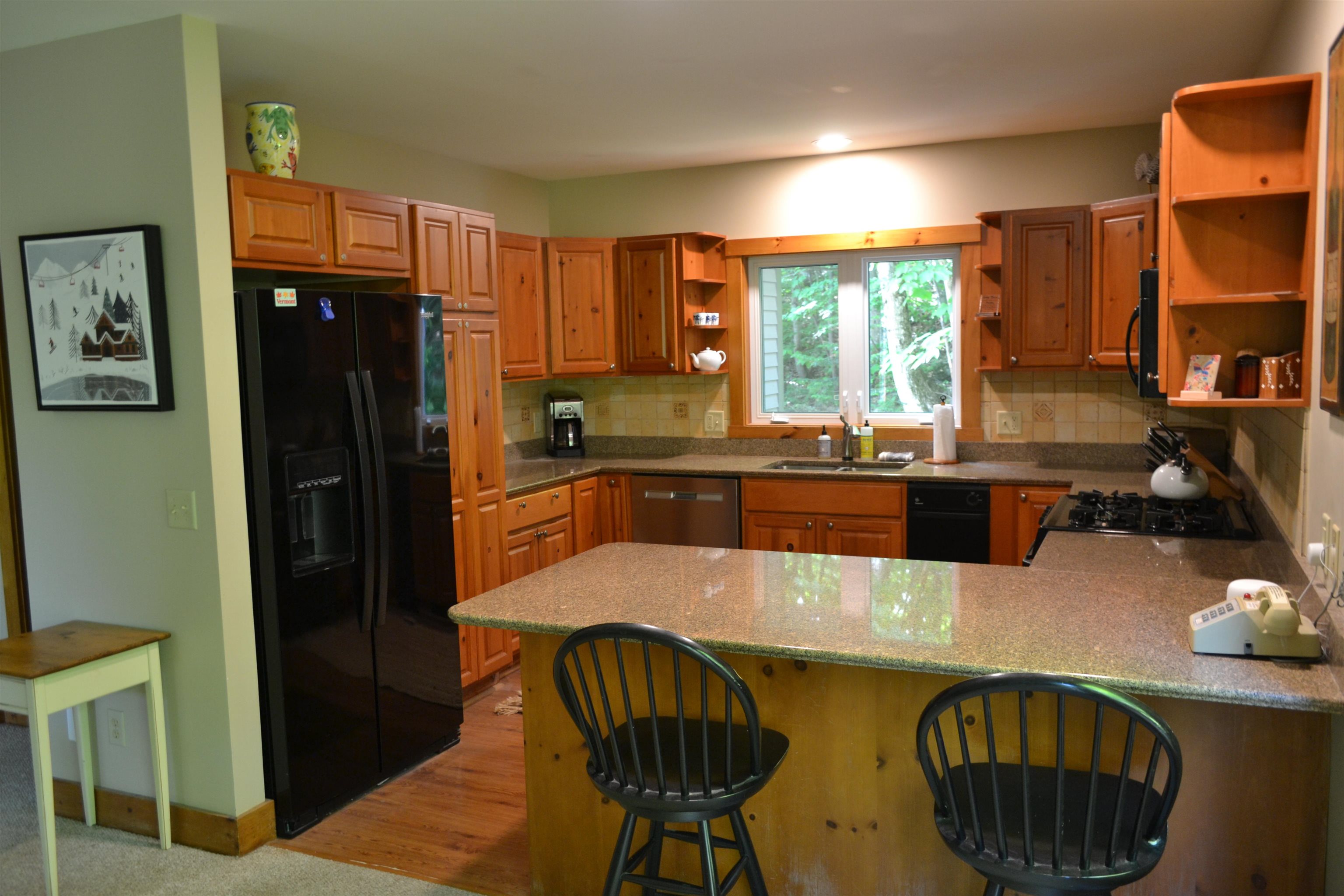 304 North Village Road, Unit SF#6 Jay, VT 05859 - Photo 7 of 41