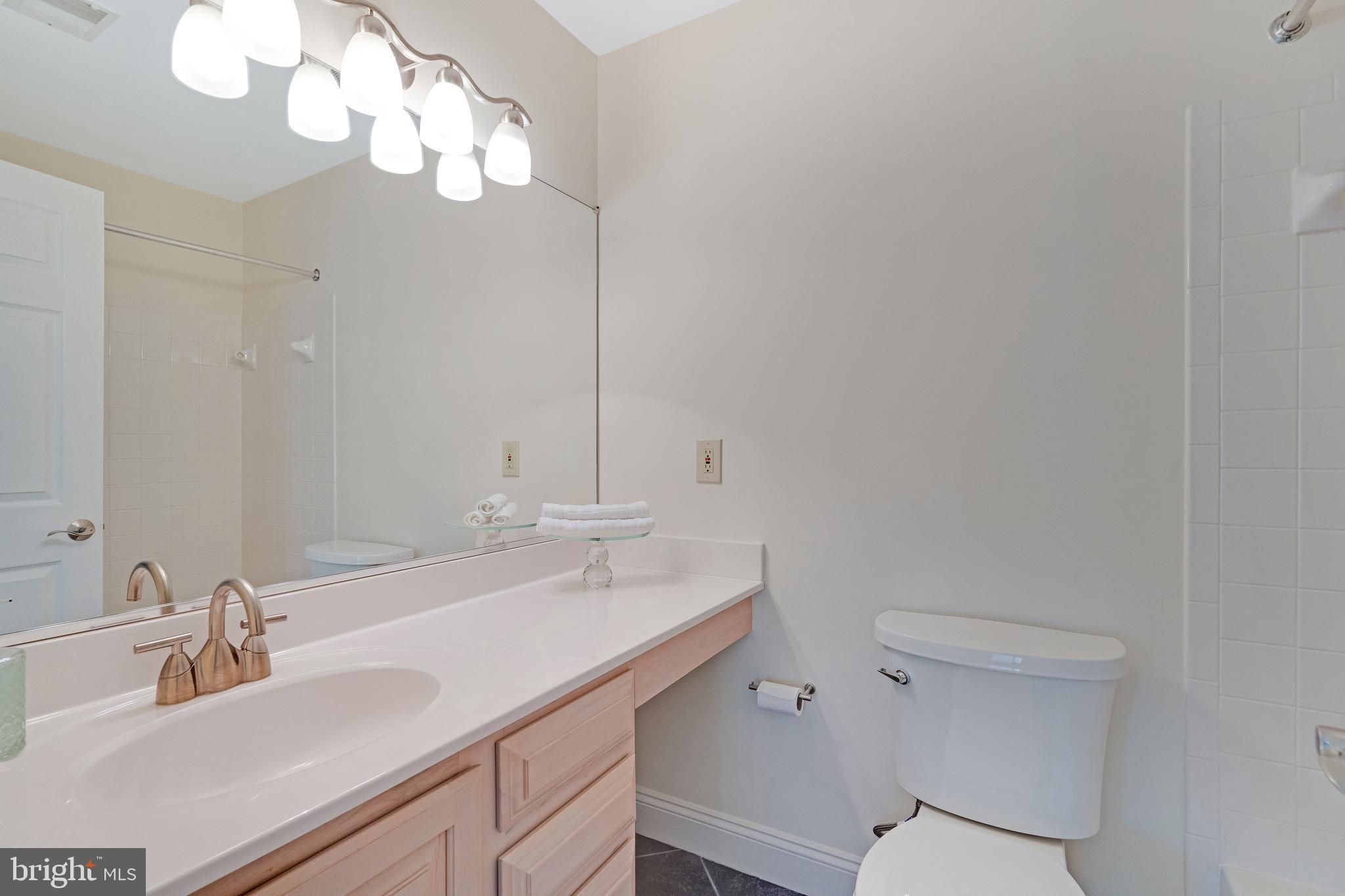 11402 Hollow Timber Way Reston, VA 20194 - Photo 17 of 23 Ensuite bath