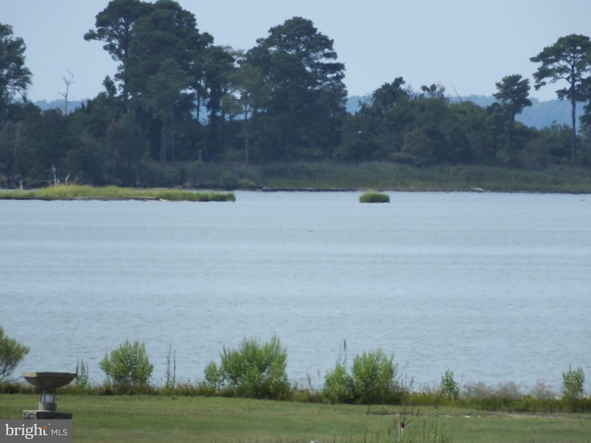 2603 Hoopers Island Road Fishing Creek, MD 21634 - Photo 44 of 46