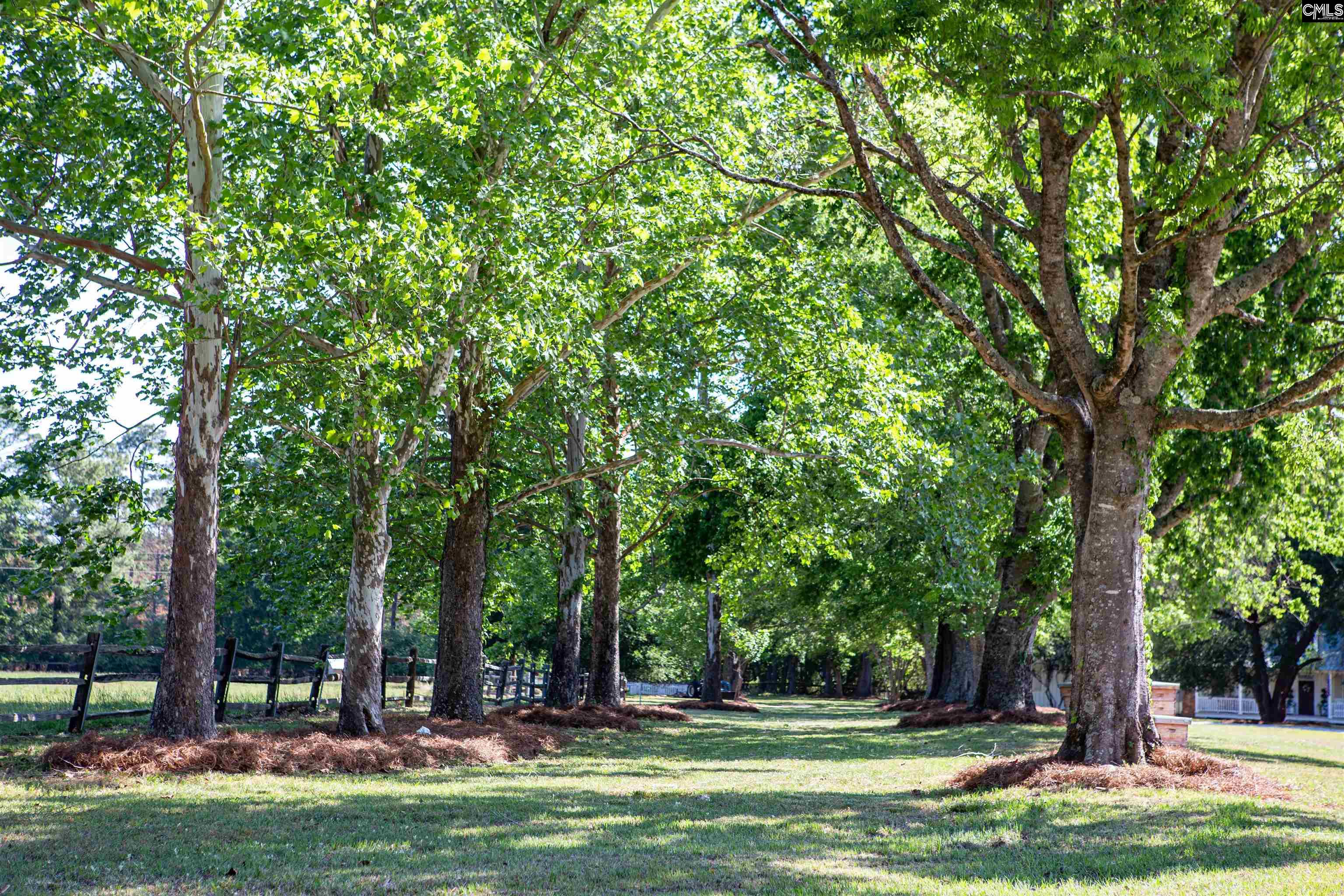 481 Cantey Lane Rembert, SC 29128 - Photo 55 of 76