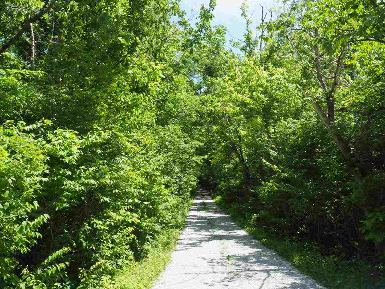 451 Rifle Range Road Alexandria, KY 41001 - Photo 4 of 29 Gallery Image 4