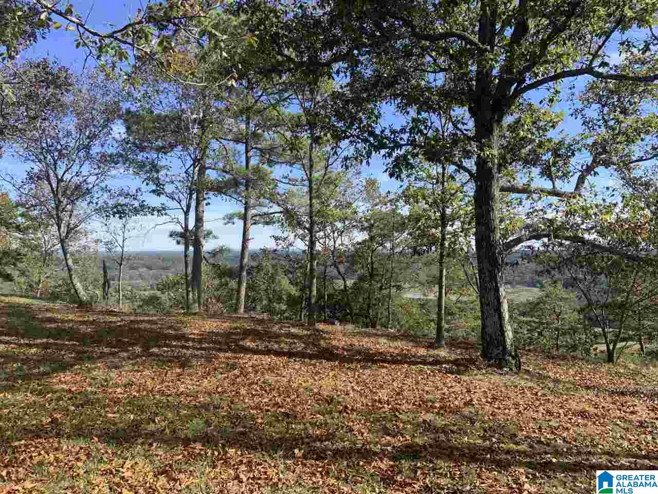 525 Overlook Road Boaz, AL 35956 - Photo 17 of 21