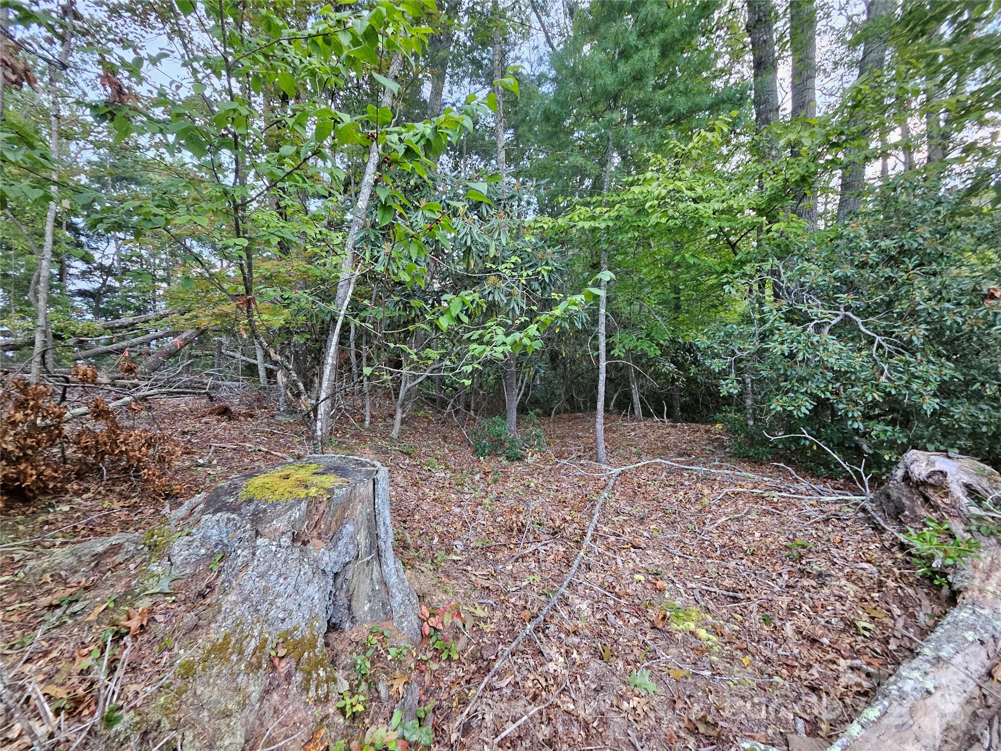 0 Double Island Road Burnsville, NC 28714 - Photo 21 of 29 a backyard of a house with lots of green space