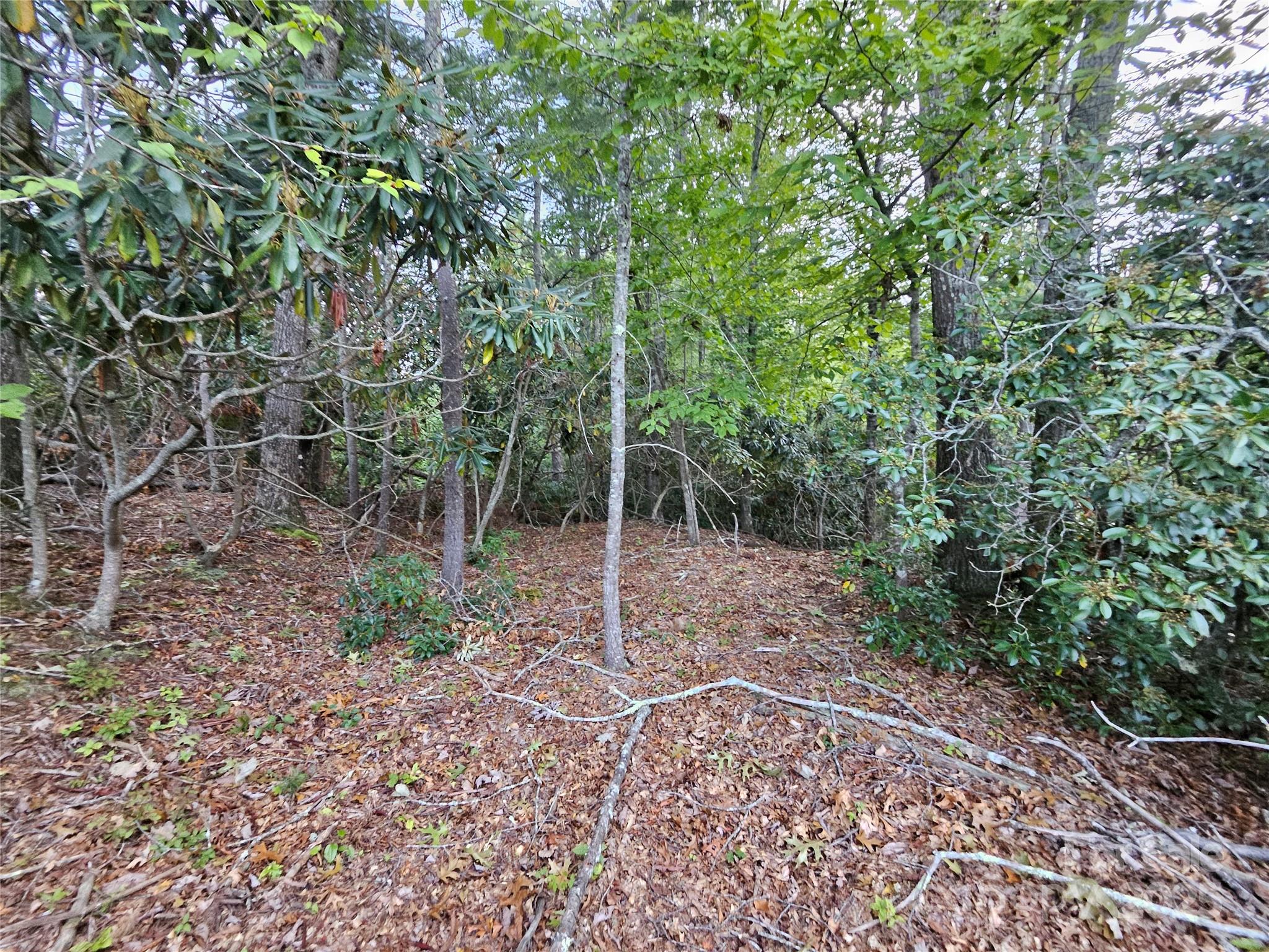 0 Double Island Road Burnsville, NC 28714 - Photo 24 of 29 a backyard of a house with lots of green space