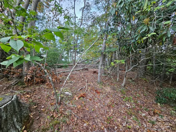 a view of an outdoor space