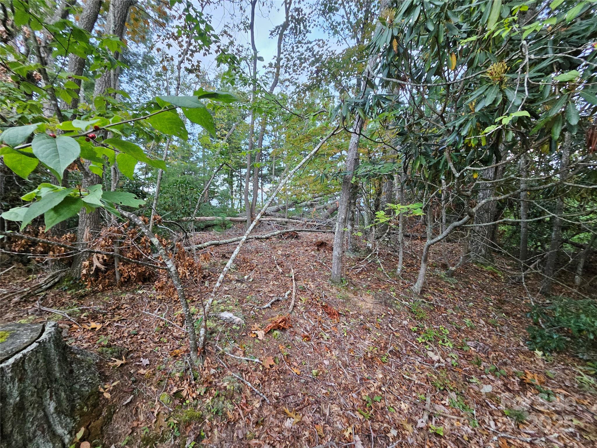 0 Double Island Road Burnsville, NC 28714 - Photo 25 of 29 a view of an outdoor space