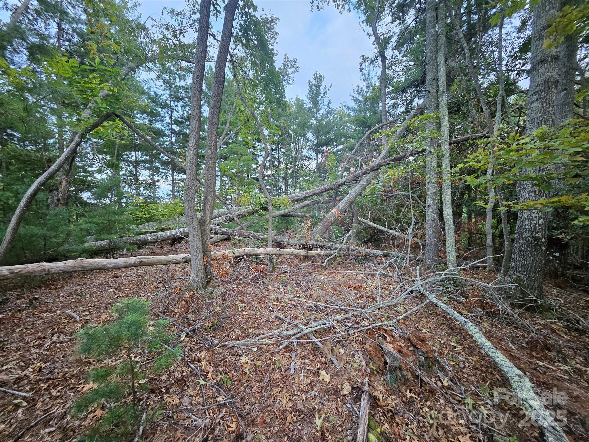 0 Double Island Road Burnsville, NC 28714 - Photo 26 of 29 a backyard of a house with lots of green space