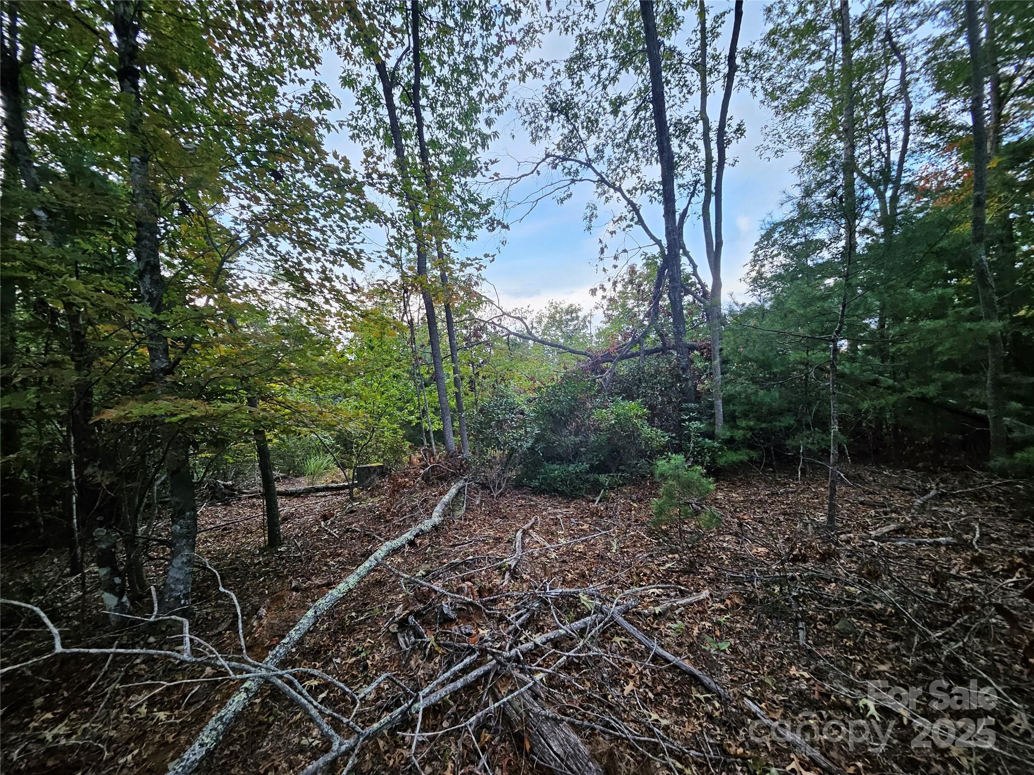 0 Double Island Road Burnsville, NC 28714 - Photo 27 of 29 a backyard of a house with lots of green space