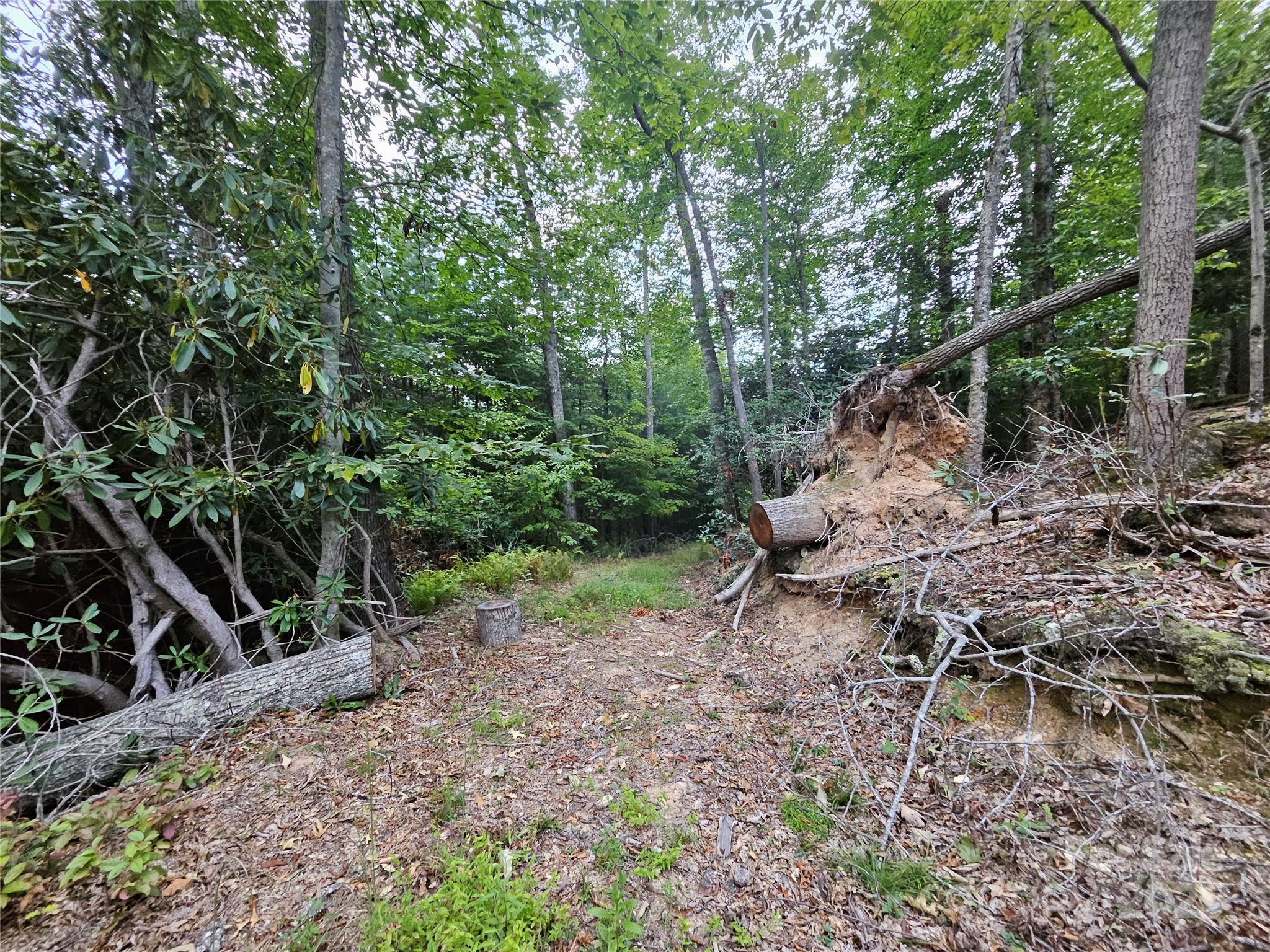 0 Double Island Road Burnsville, NC 28714 - Photo 8 of 29 a backyard of a house with lots of green space