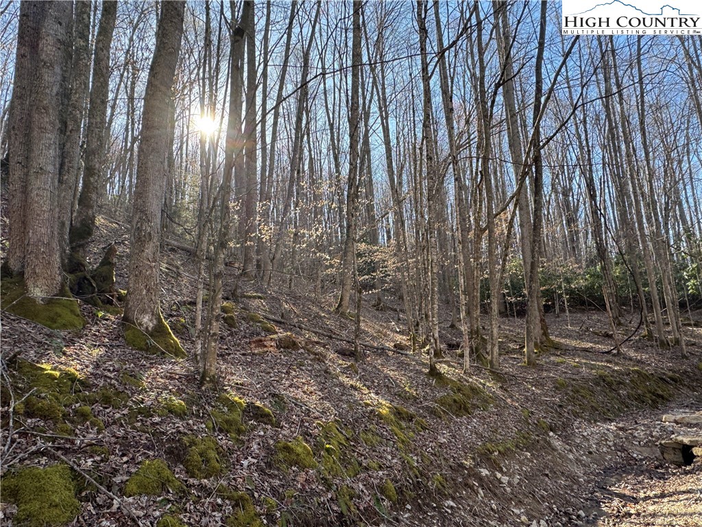 Lot 2 Buckeye Ridge Road Beech Mountain, NC 28604 - Photo 1 of 6 Gallery Image 1