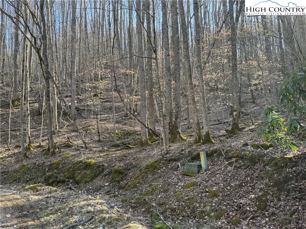 Lot 2 Buckeye Ridge Road Beech Mountain, NC 28604 - Photo 3 of 6 Gallery Image 3