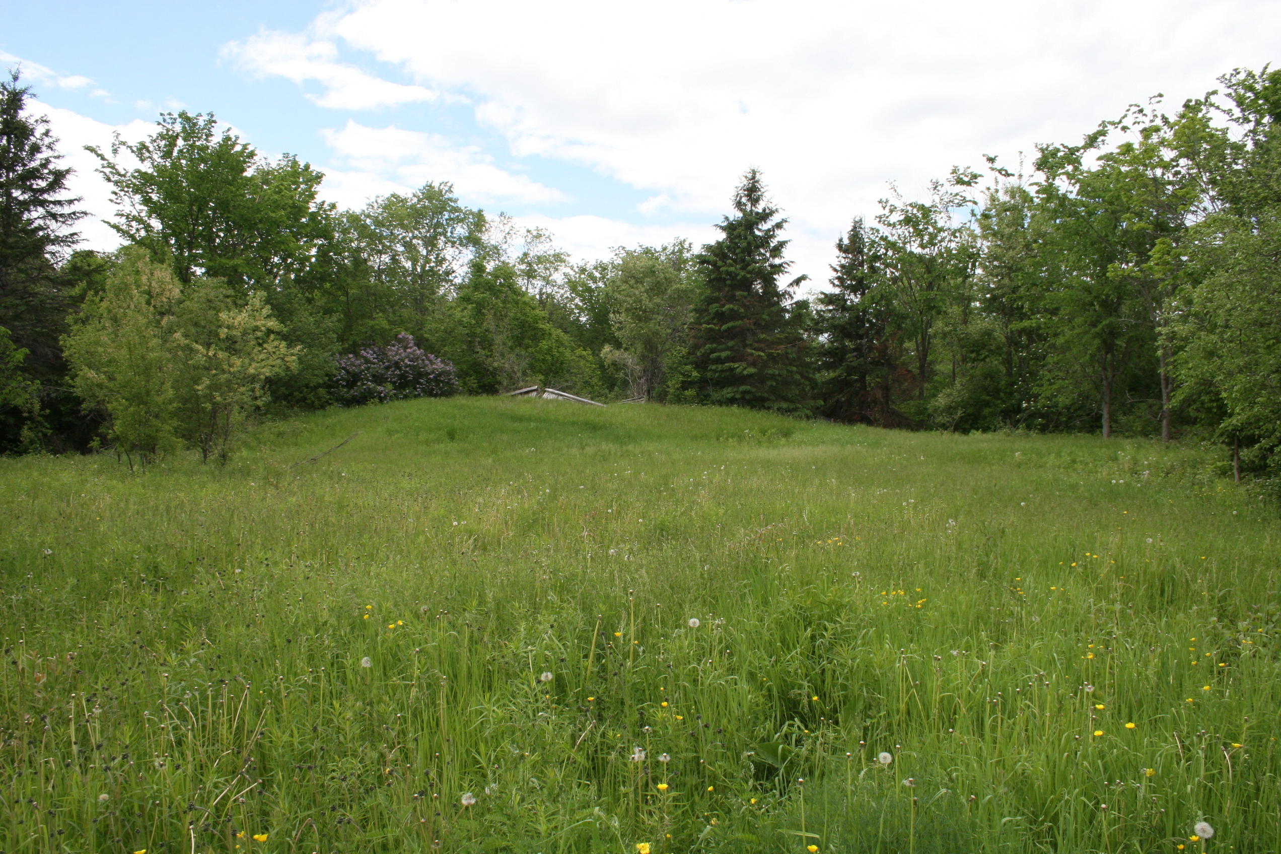 0 Roix Road New Limerick, ME 04761 - Photo 14 of 22 IMG_3607