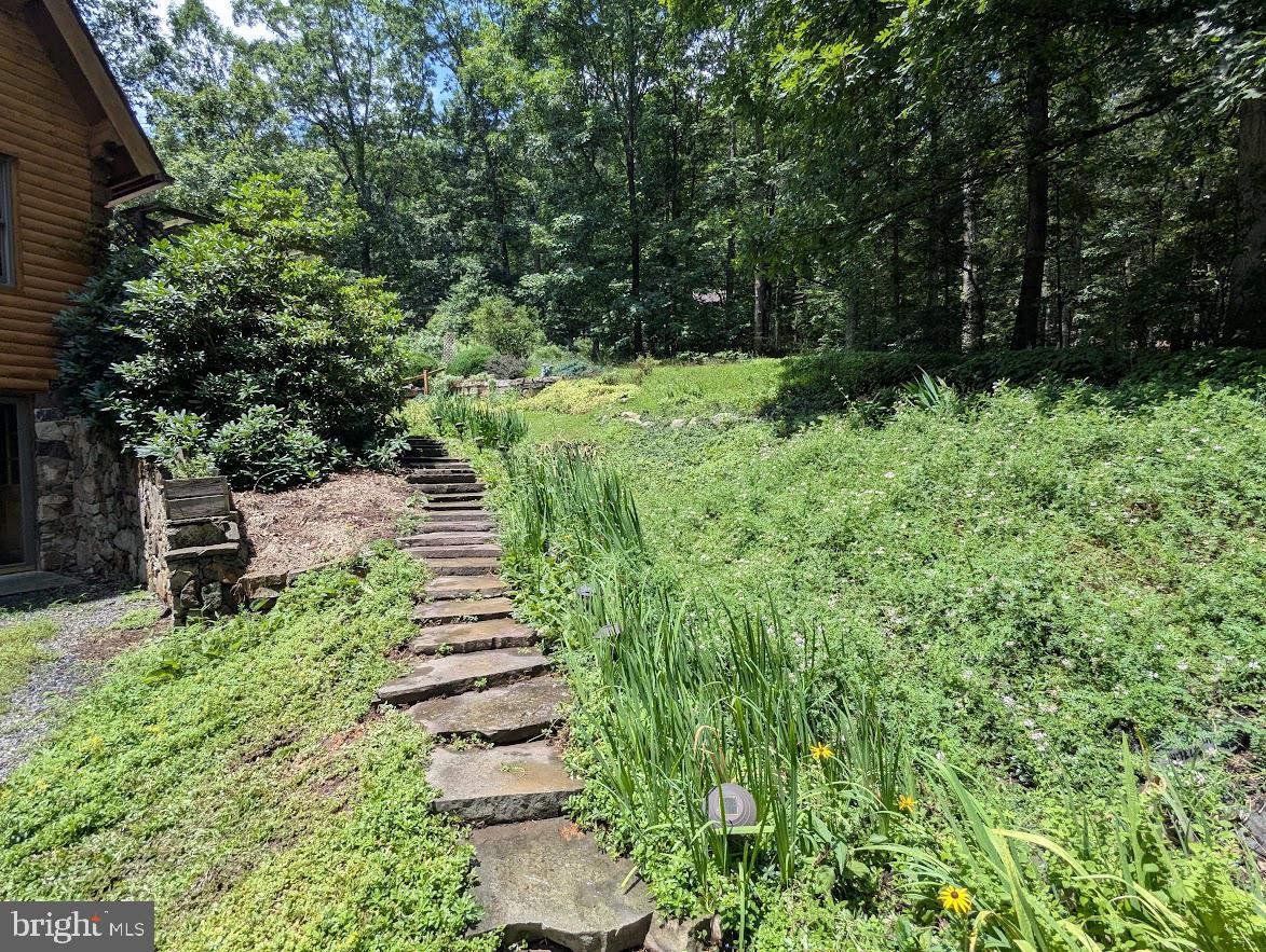 1537 Hidden Valley Road Franklin, WV 26807 - Photo 13 of 78